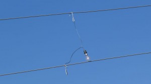 Lumbini_3 Ein Licht geht auf