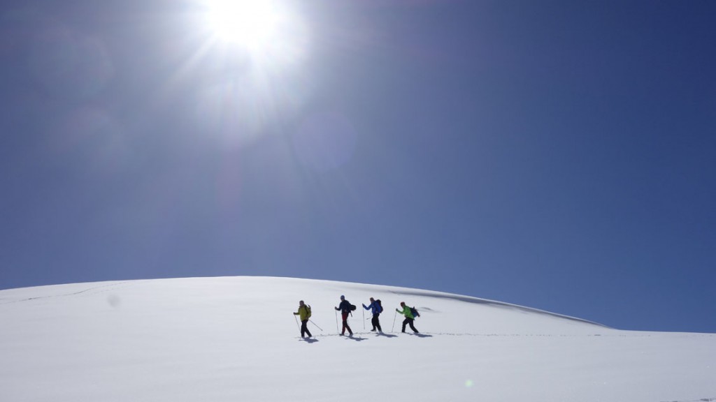 Chwaszcza_Tauruswinter_06